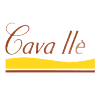 Roge Cavaillès